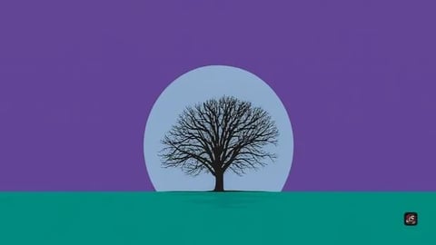 35/52 - A Raiz de Rejeição (Joyce Meyer)