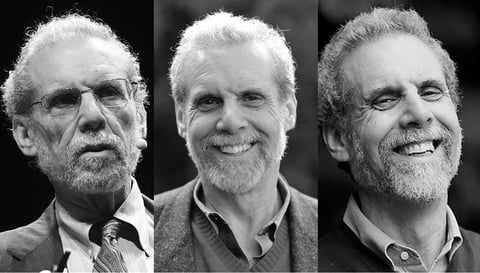 14/52 - Daniel Goleman